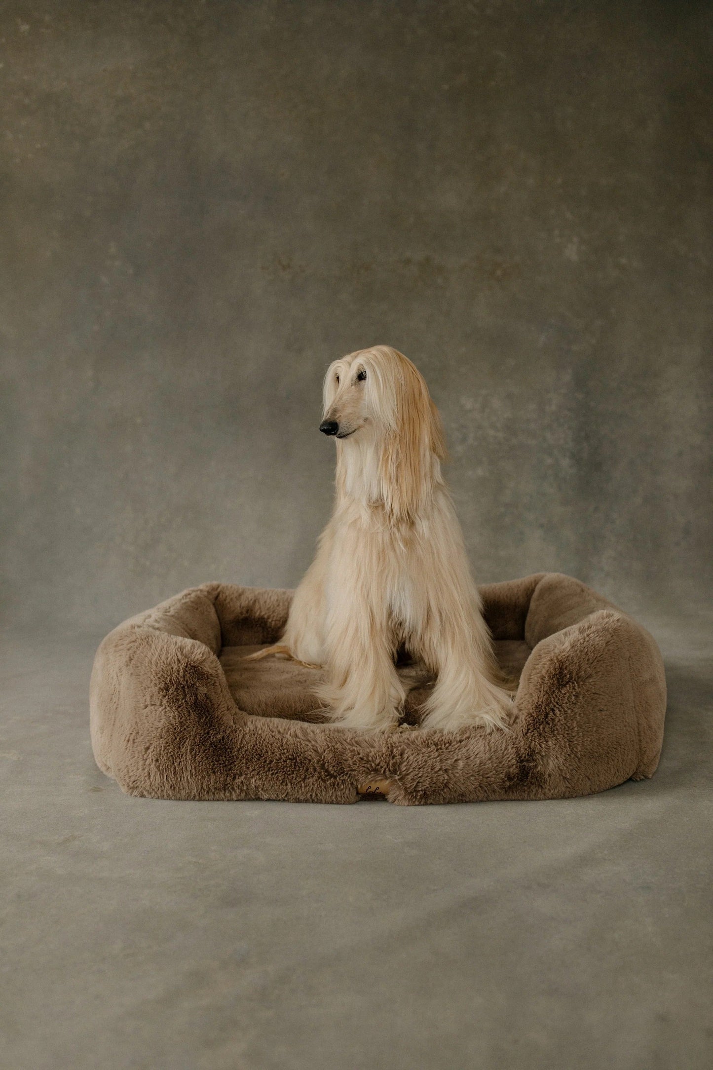 The Lola Pet Bed | Desert Dune