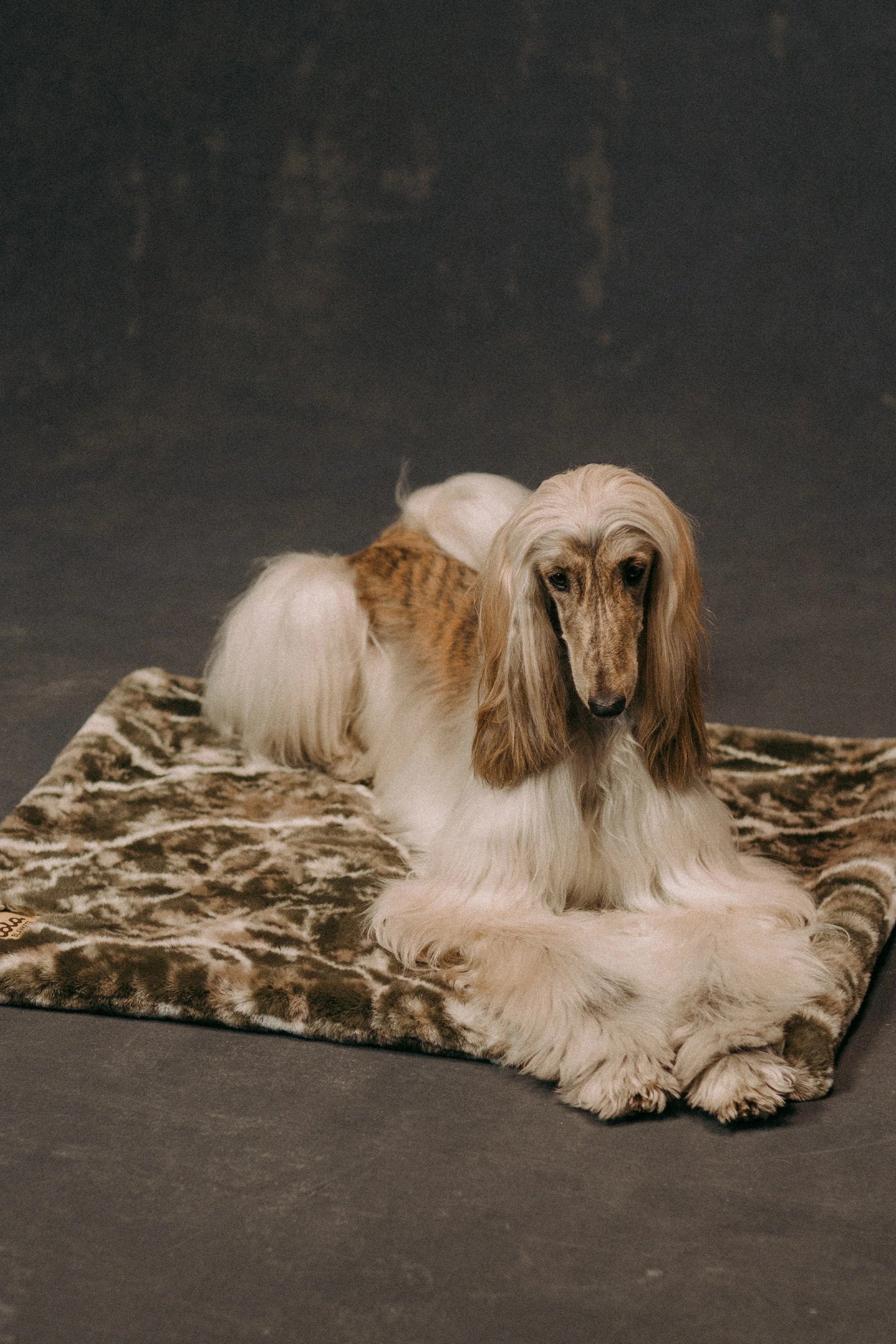The Lola Pet Pad | Sagebrush Camo