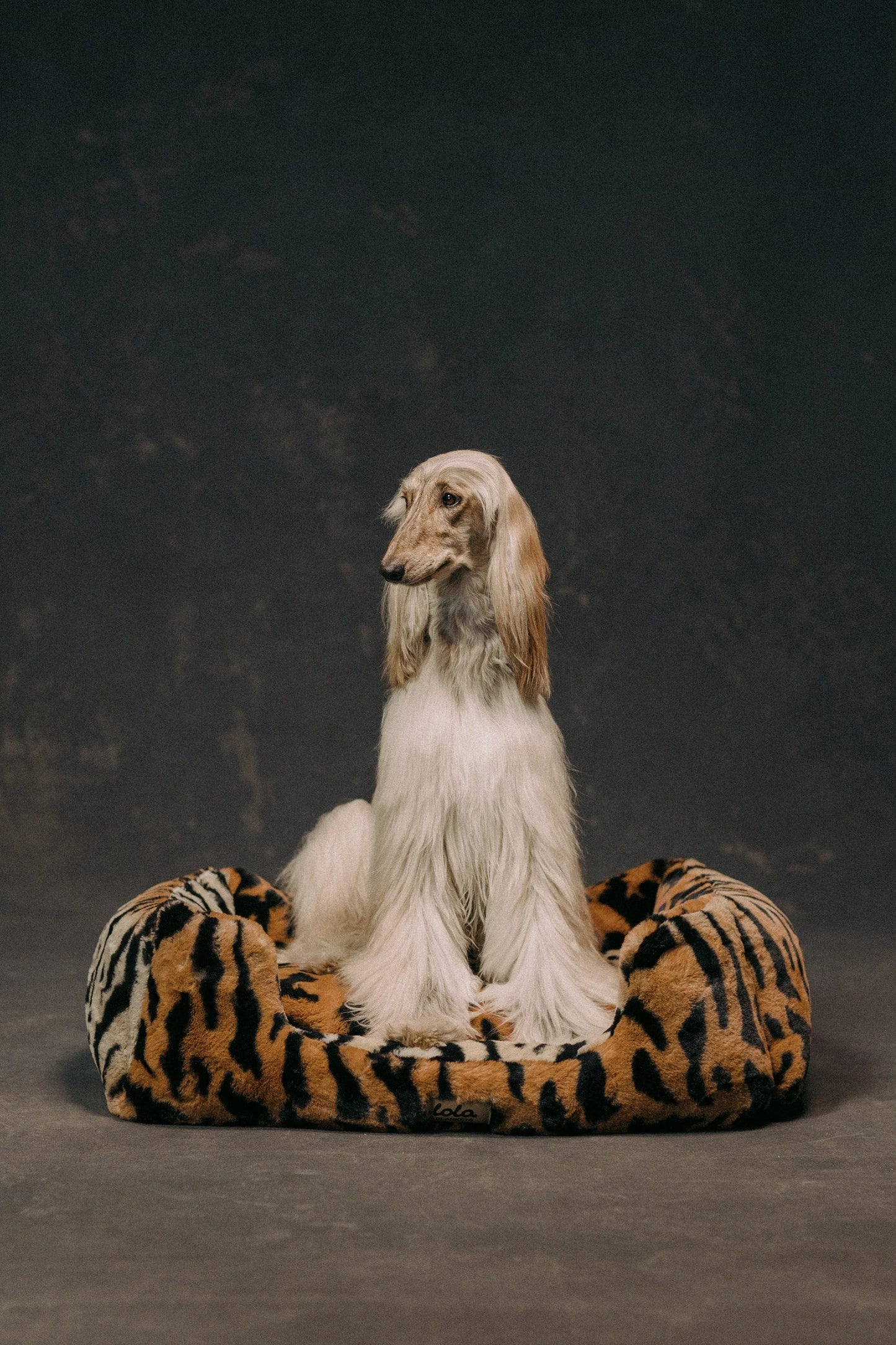 The Lola Pet Bed | Jungle Tiger