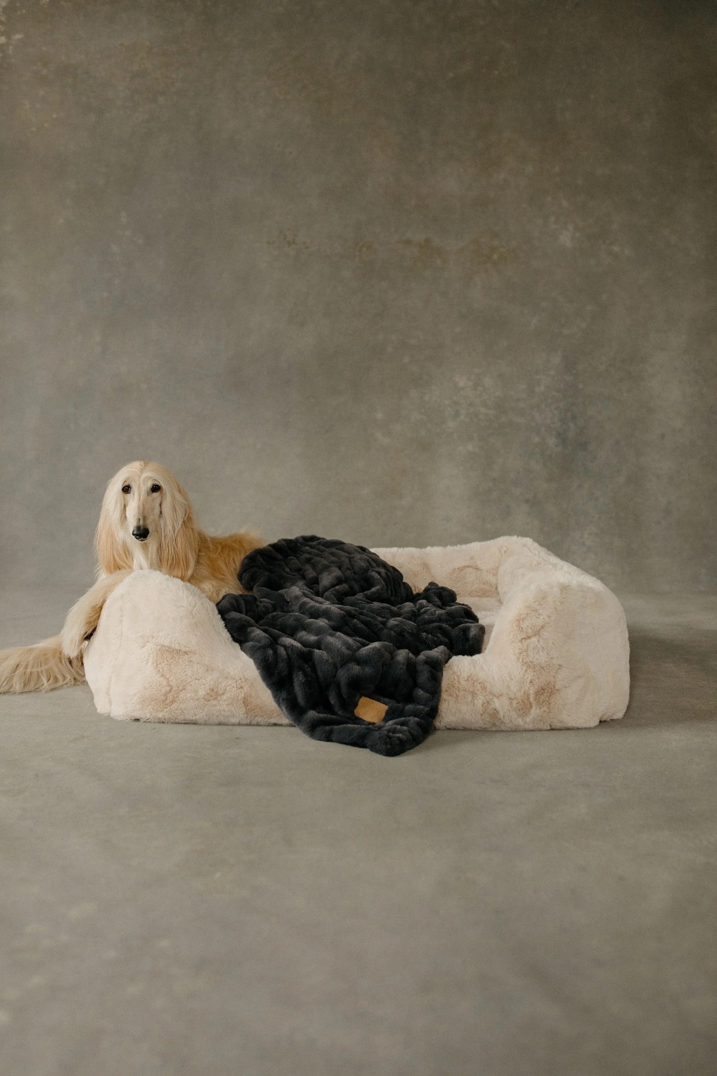 The Lola Pet Bed | Bondi Beige