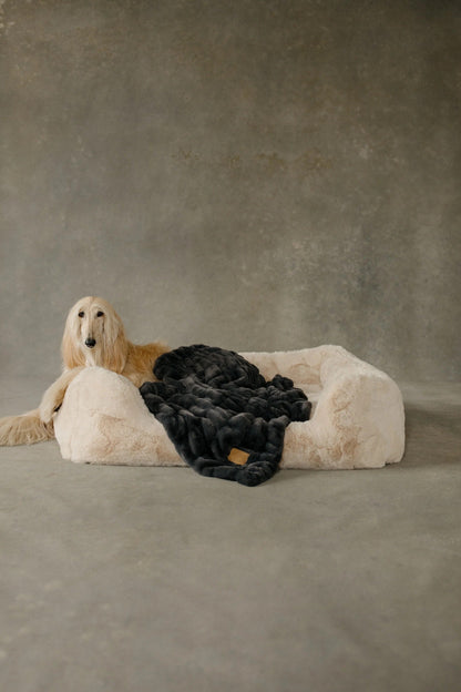 The Lola Pet Bed | Bondi Beige