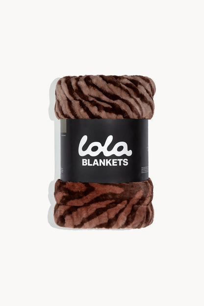 Terracotta Zebra