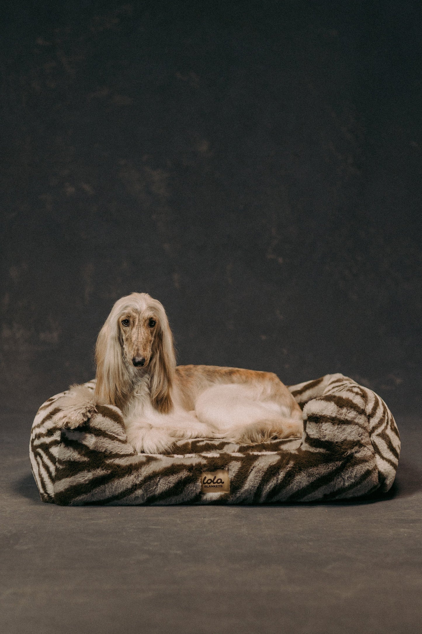 The Lola Pet Bed | Zebra