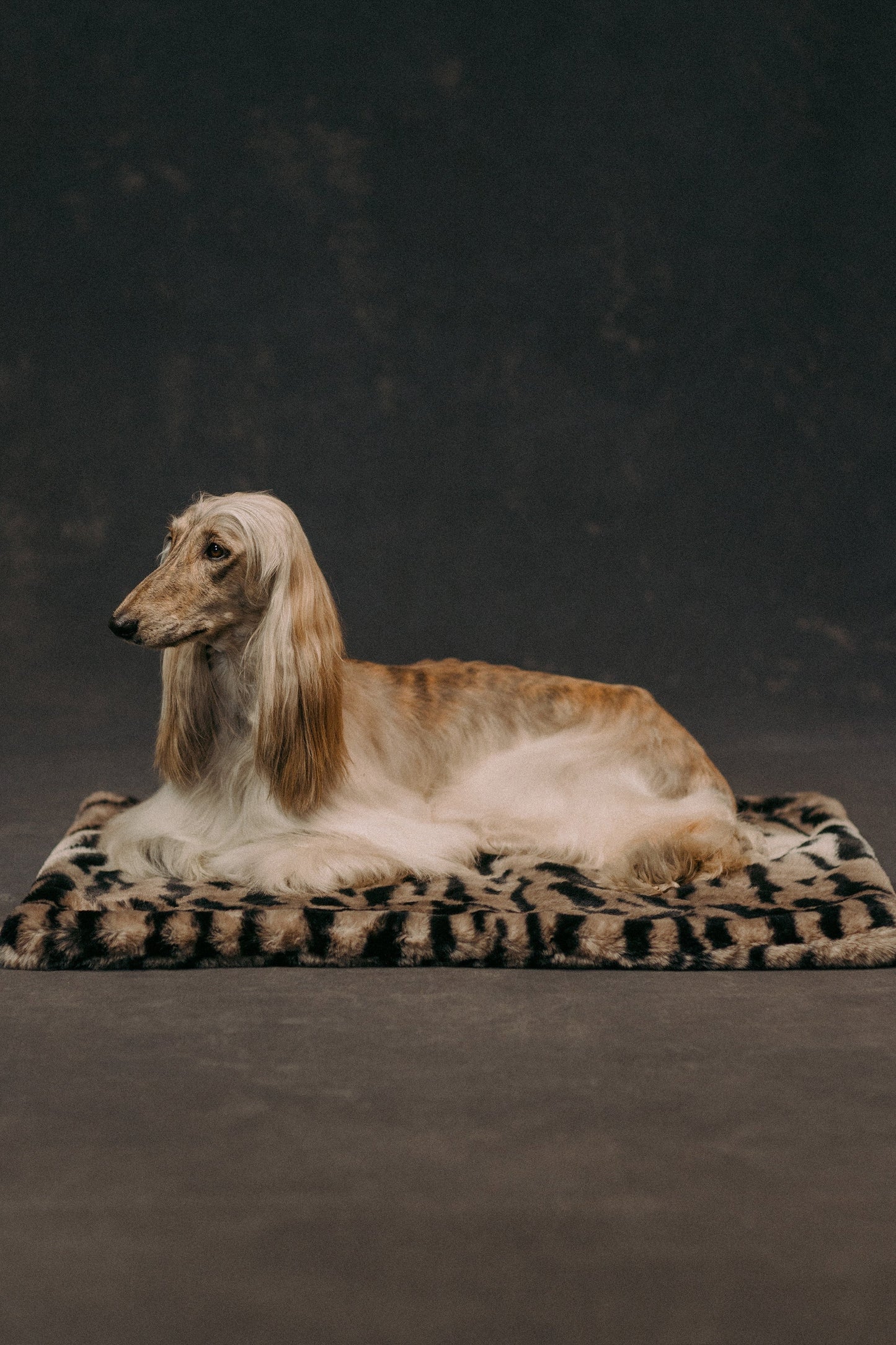 The Lola Pet Pad | Desert Tiger