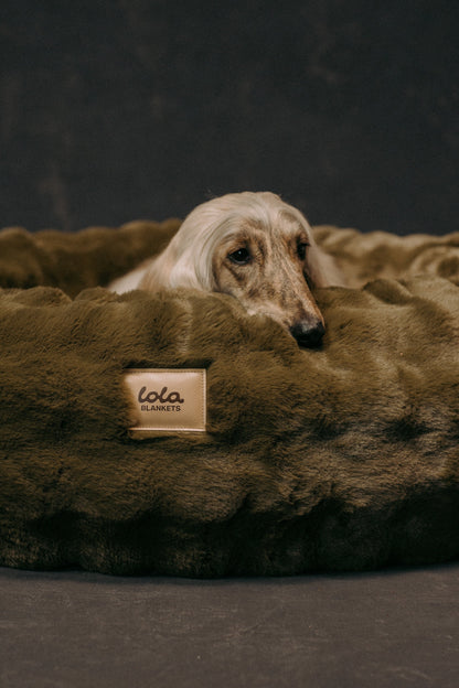 The Lola Bubble Pet Bed | Fern Green