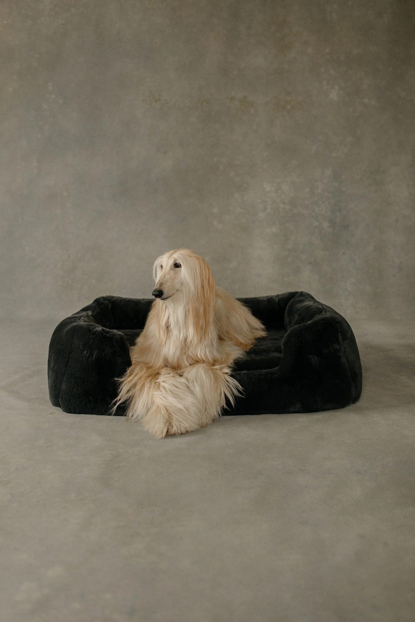 The Lola Pet Bed | Charcoal Grey