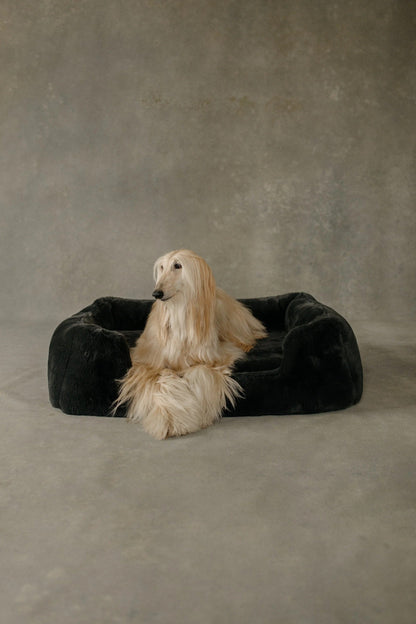 The Lola Pet Bed | Charcoal Grey