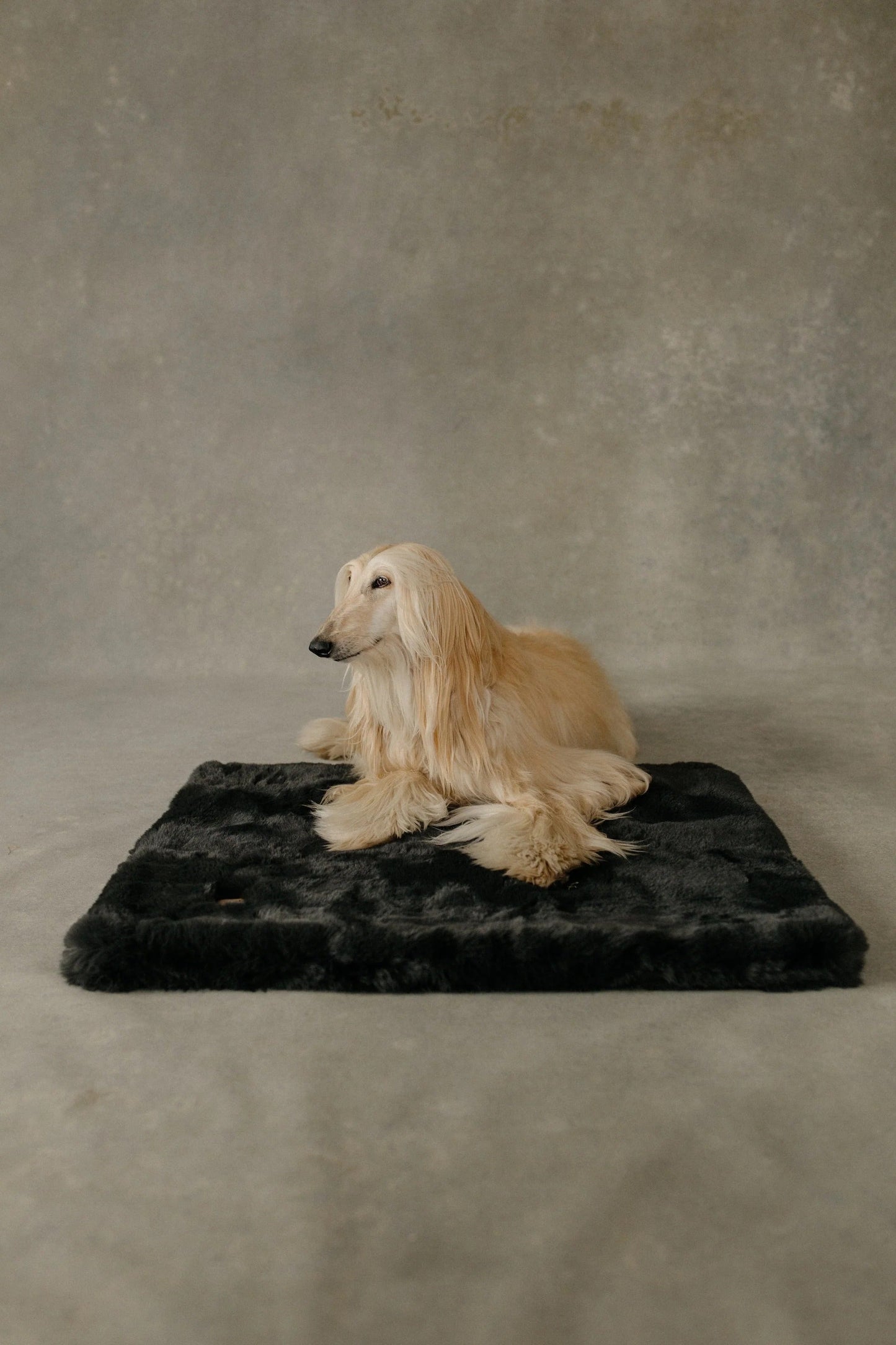 The Lola Pet Pad | Charcoal Grey