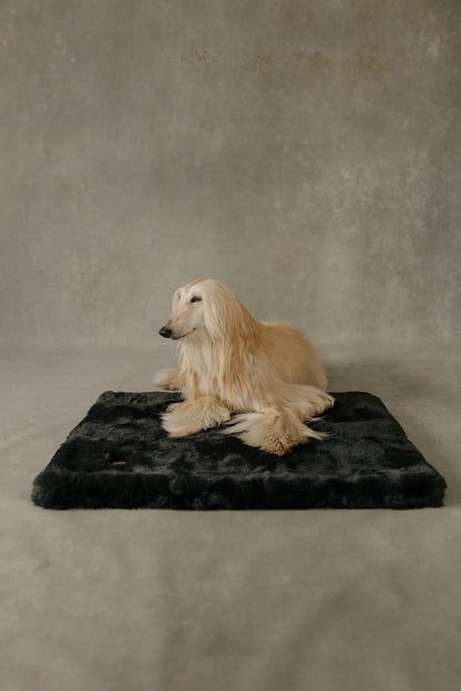 The Lola Pet Pad | Charcoal Grey