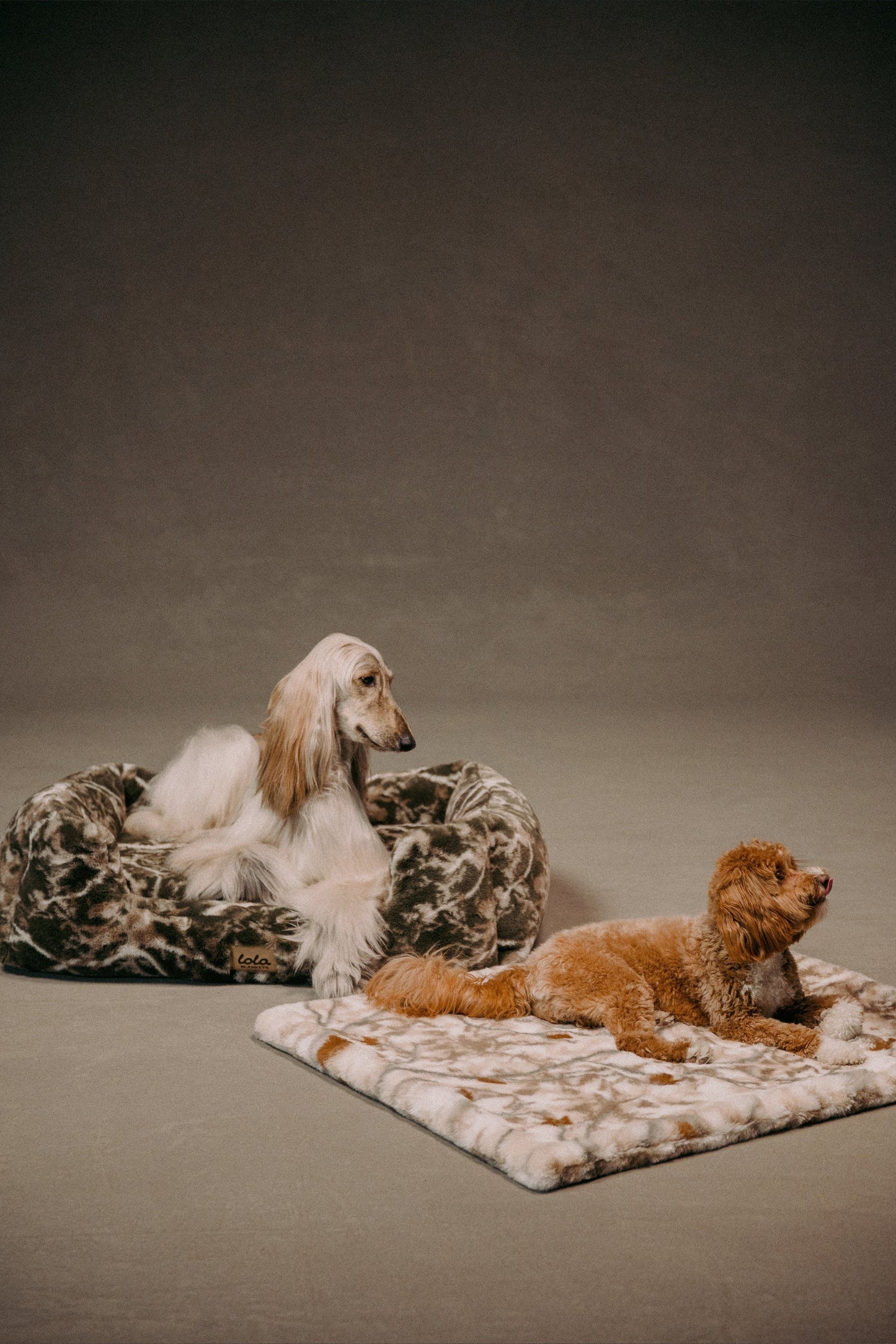 The Lola Pet Pad | Birch Camo