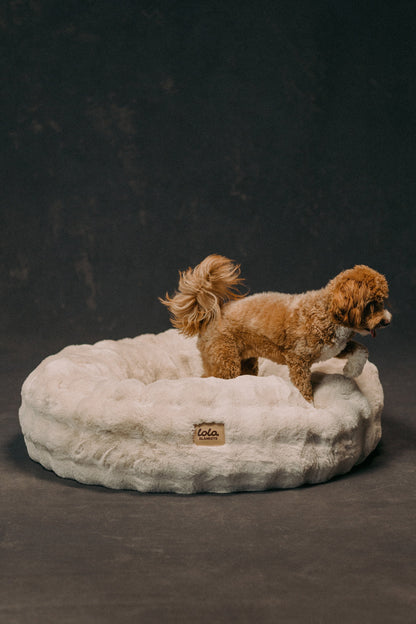 The Lola Bubble Pet Bed | Cappuccino