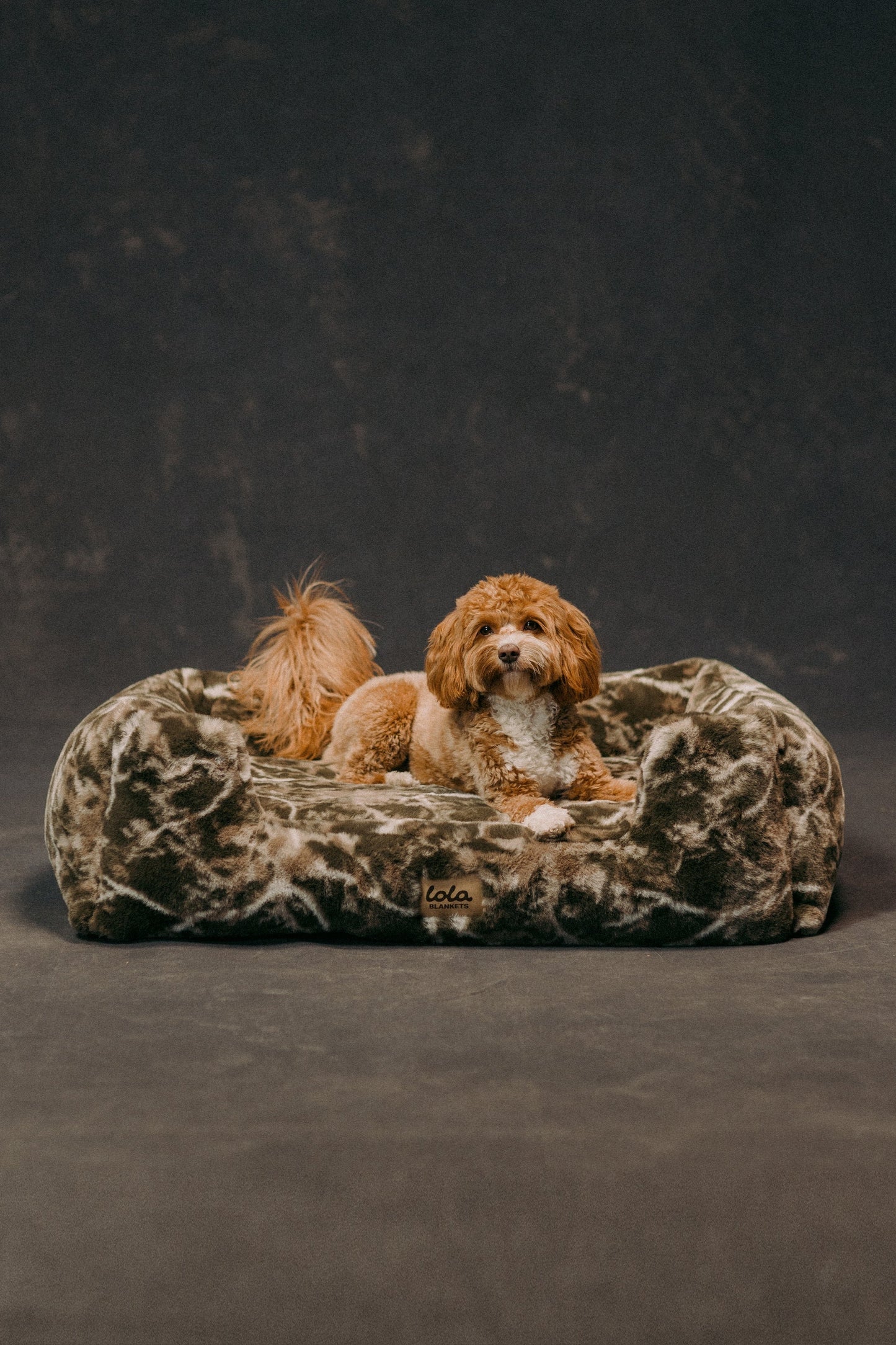The Lola Pet Bed | Sagebrush Camo