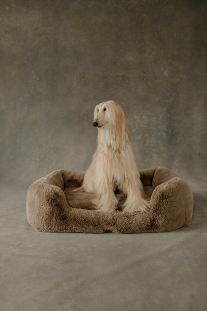 The Lola Pet Bed | Desert Dune