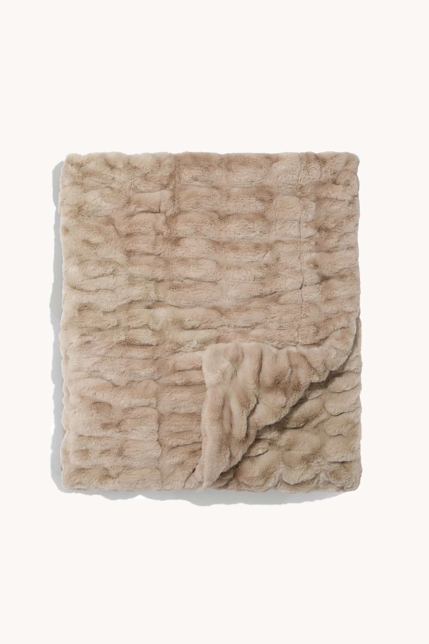 Lola x Dagne Dover: Oyster Bundle