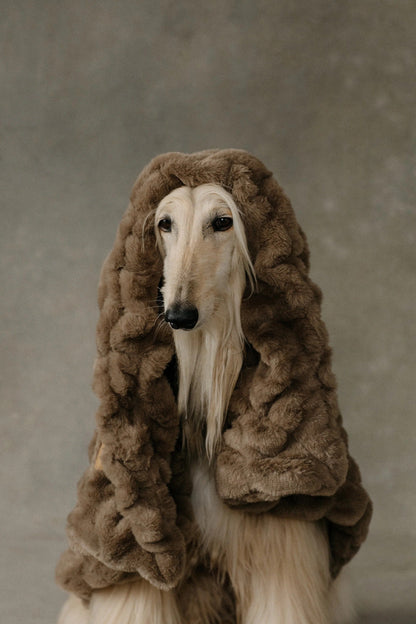 The Lola Pet Blanket | Desert Dune