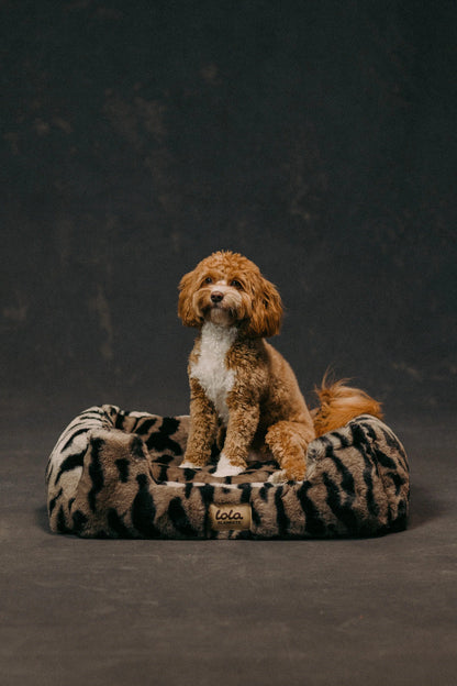 The Lola Pet Bed | Desert Tiger