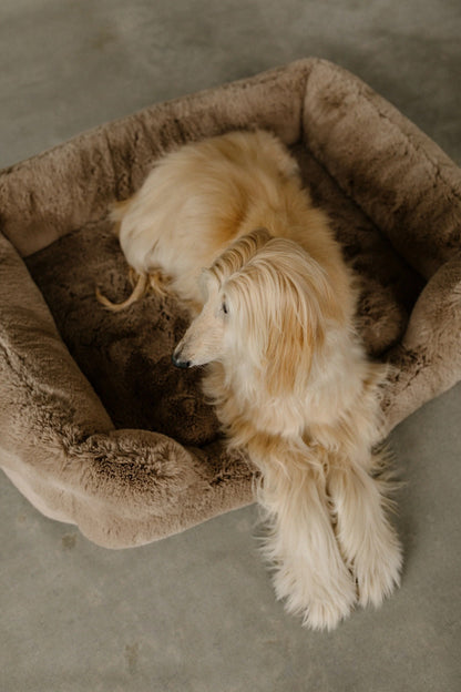 The Lola Pet Bed | Desert Dune